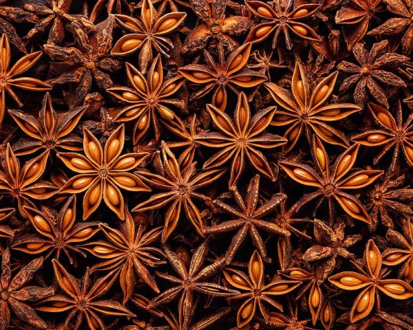 Star anise seeds, full frame. Star anise is used as an aromatic spice in cooking and Chinese cuisine.